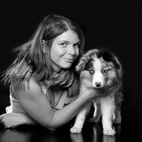 australian sheperd welpe studiofotografie mit mensch tierfotografie glasow fotografie