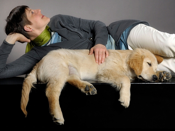 tierfotografie studiofotografie wachstumsreihe welpe golden retriever glasow fotografie