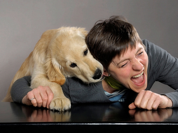 tierfotografie studiofotografie wachstumsreihe welpe golden retriever glasow fotografie