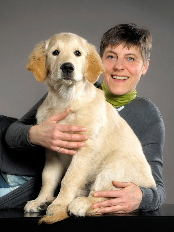 tierfotografie studiofotografie wachstumsreihe welpe golden retriever glasow fotografie