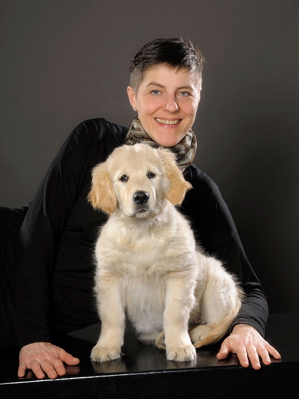 tierfotografie studiofotografie wachstumsreihe welpe golden retriever glasow fotografie