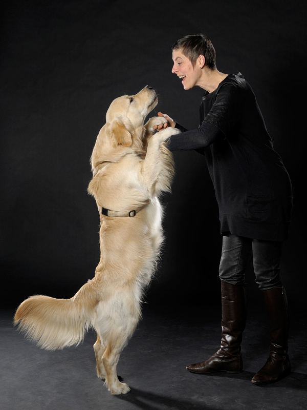 tierfotografie studiofotografie wachstumsreihe welpe golden retriever glasow fotografie