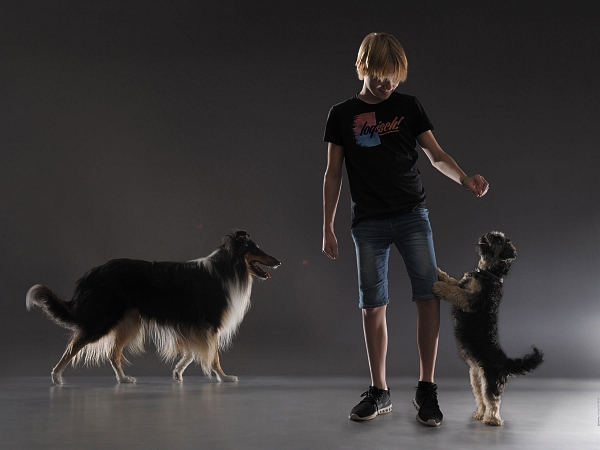 junge mit zwei hunden studiofotografie tierfotografie glasow fotografie
