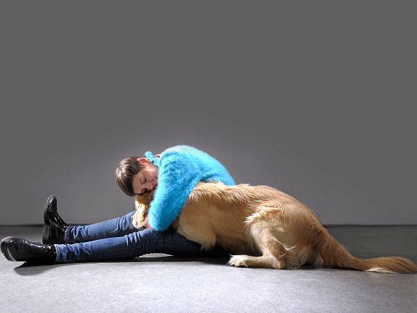 golden retriever studiofotografie mit Mensch tierfotografie glasow fotografie