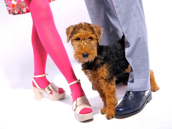 terrier mit menschen studiofotografie tierfotografie glasow fotografie