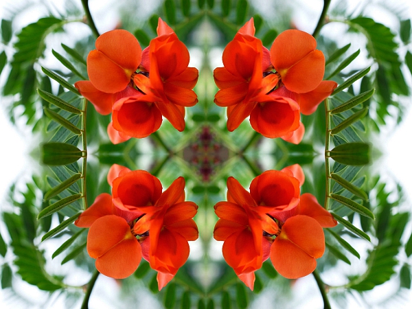Frühling 2006 6