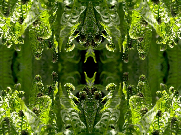 Frühling 2006 18