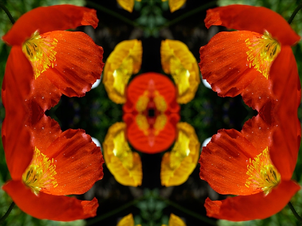Frühling 2006 25