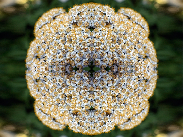 Frühling 2006 35