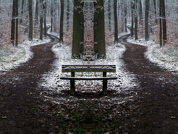 Winterbäume 2007 2