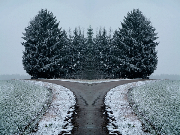 Winterbäume 2007 9