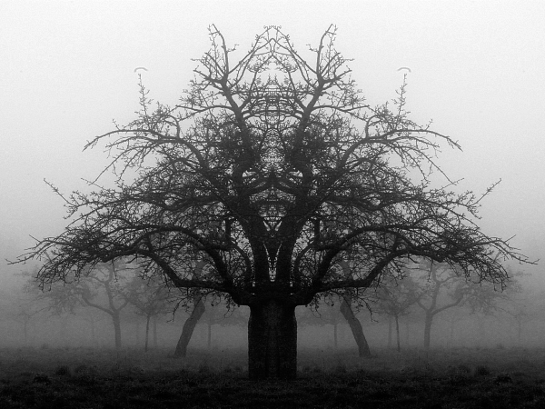 Herbst 2007 1