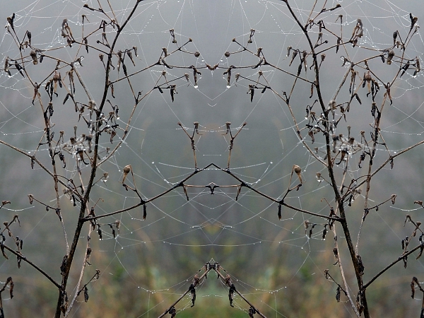 Herbst 2007 3