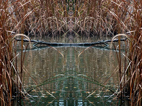 Herbst 2007 5