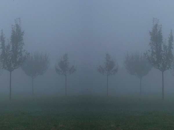Herbst 2007 6