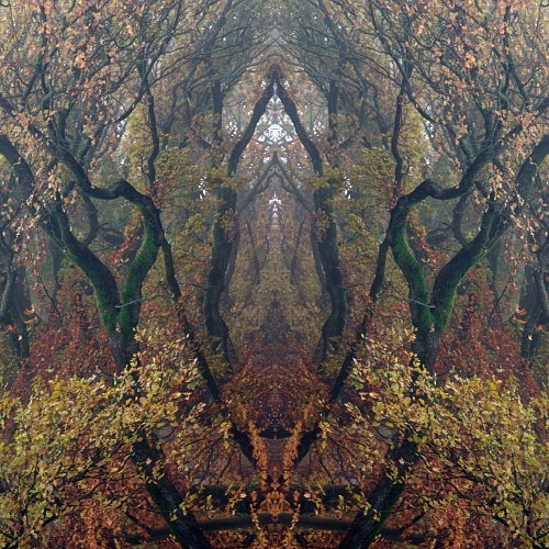 Herbst 2007