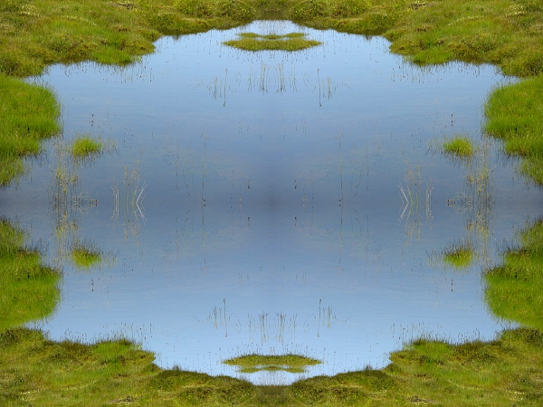 Island 2009 1