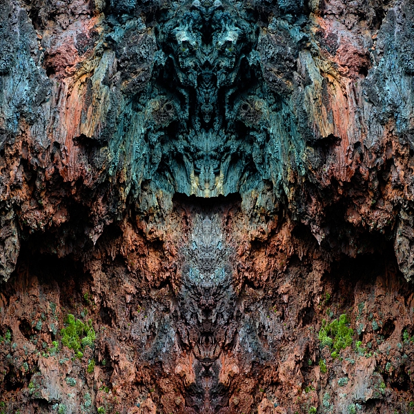 Island 2009 42
