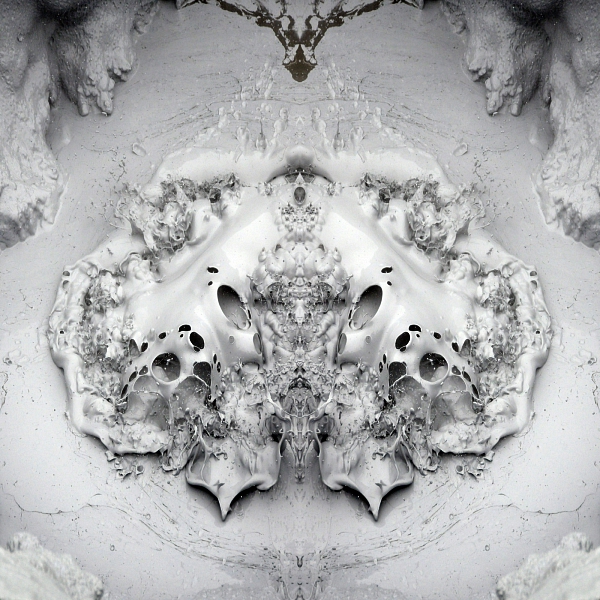 Island 2009 45