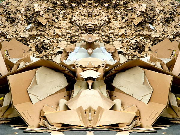 Recycling 2008 1